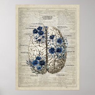 Poster Anatomia cerebral Arte Floral Azul