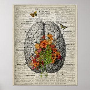 Poster Anatomia cerebral com borboletas e flores