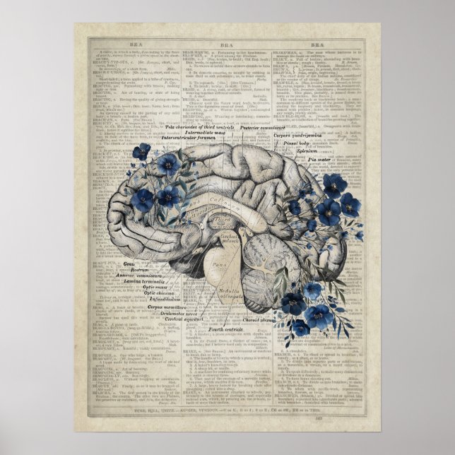 Poster Anatomia cerebral com flores azuis Marinhos Arte M (Frente)