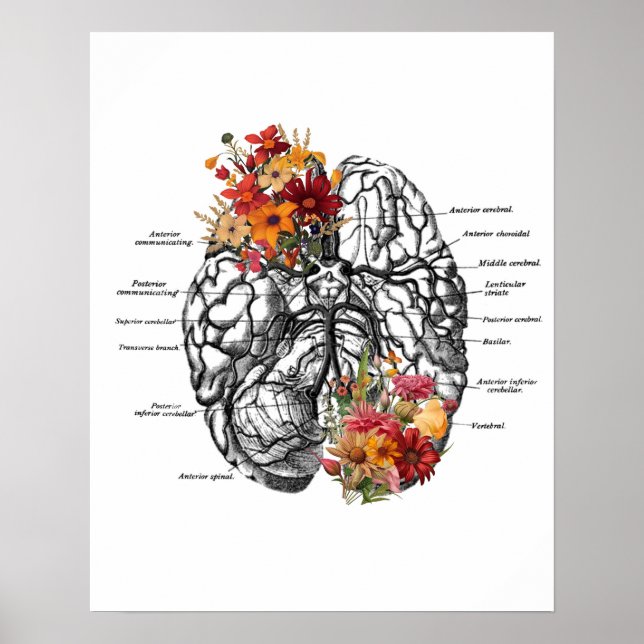 Poster Anatomia cerebral Flores Arte Anatômica (Frente)