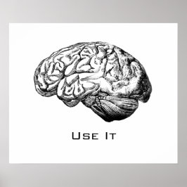 Pôster Anatomia cerebral - Use-a
