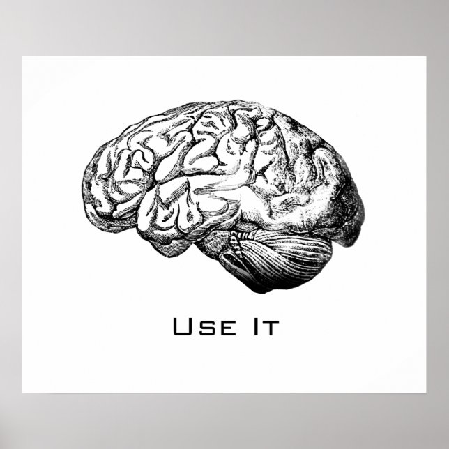 Pôster Anatomia cerebral - Use-a (Frente)
