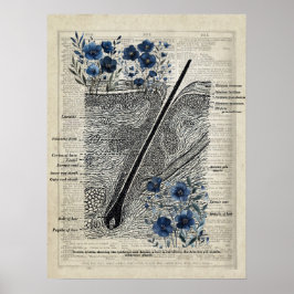 Poster Anatomia da pele Azul Floral Dictionary