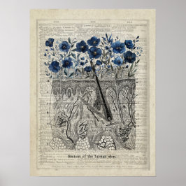 Poster Anatomia da pele Blue Floral Vintage Dictionary Ar
