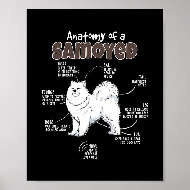 Poster Anatomia de Samoyed for Peles Mamãe Papá ama Cães (Frente)