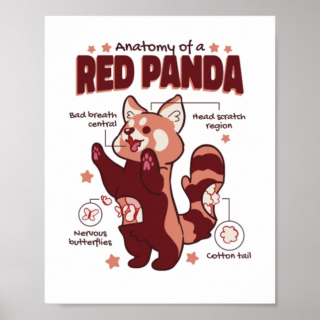 Poster Anatomia de um Amante de os animais de Panda Verme (Frente)