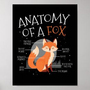 Poster Anatomia De Um Animal Da Floresta De Raposa