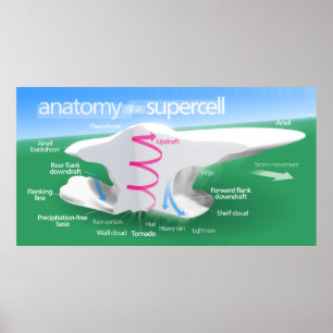 Pôster Anatomia de um diagrama da tempestade do Supercell