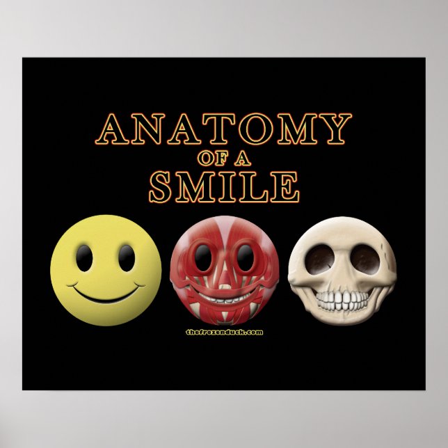 Poster Anatomia de um Sorriso (Frente)