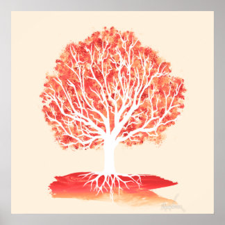Poster Anatomia de uma árvore. (24 x 24)