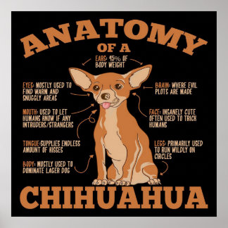 Poster Anatomia De Uma Canvas Chihuahua