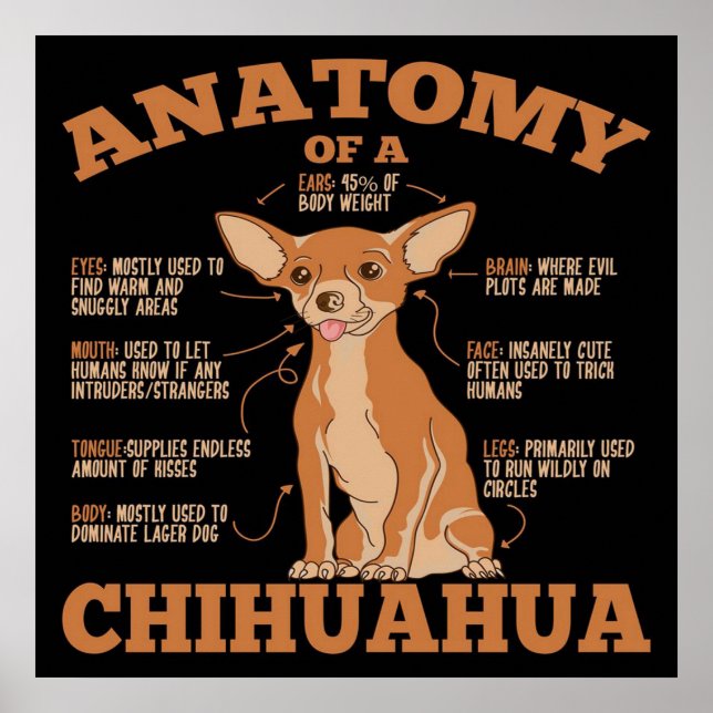 Poster Anatomia De Uma Canvas Chihuahua (Frente)