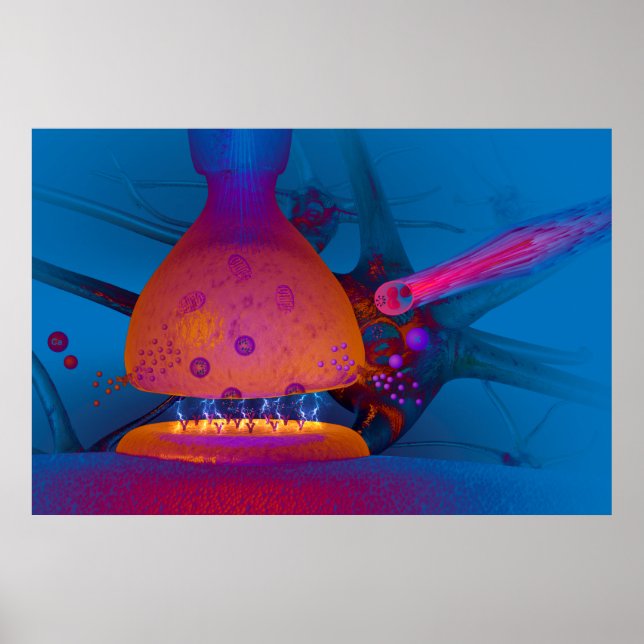 Pôster Anatomia de uma Concussão (Frente)