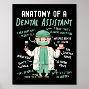 Poster Anatomia dentária De Um Adolescente