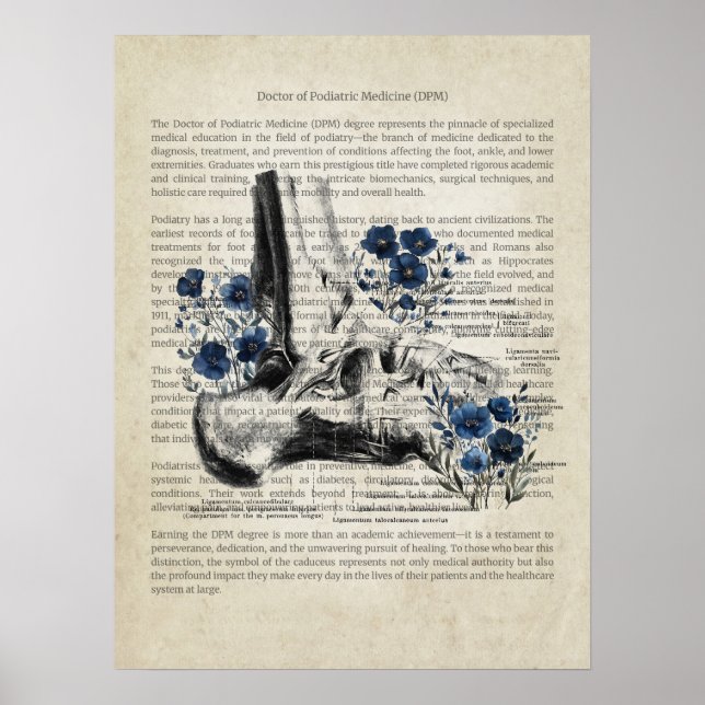 Poster Anatomia do Ankle com Destaque Floral Azul (Frente)