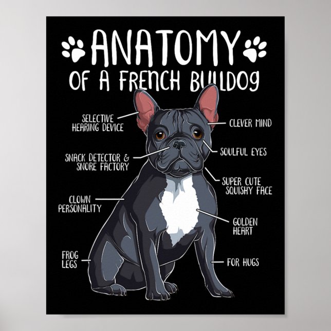 Poster Anatomia do Bulldog Francês Cachorro Francês Propr (Frente)