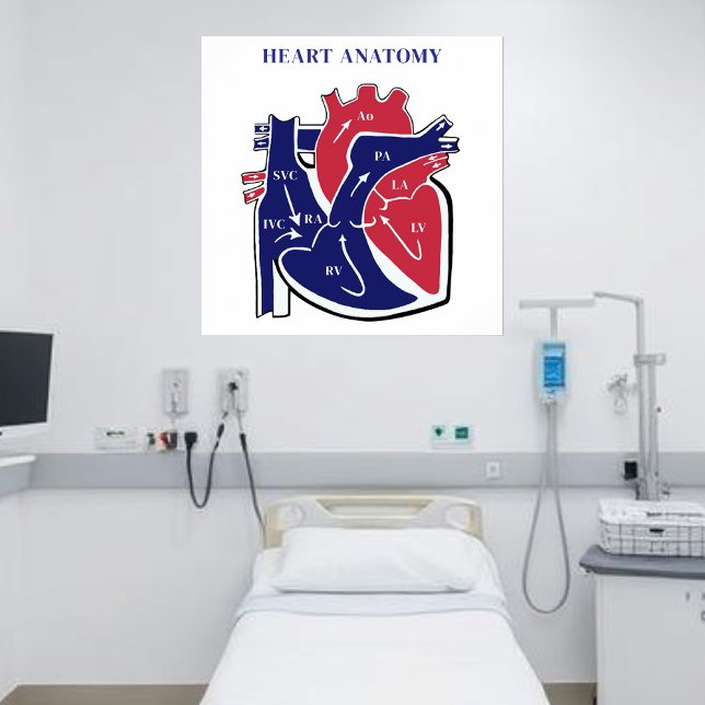 Poster Anatomia do Coração- (Heart Anatomy- Poster )