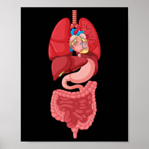 Poster Anatomia do diagrama interno do órgão do Halloween