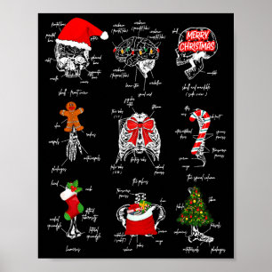 Poster Anatomia do Esqueleto Humano Natal Estudante de Me