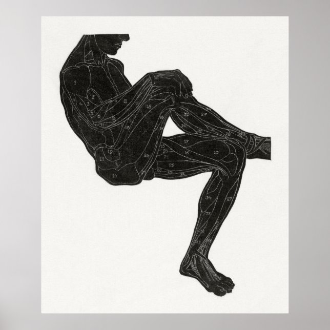 Poster Anatomia do homem 3 (Frente)