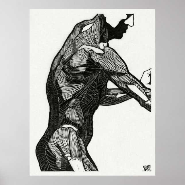 Poster Anatomia do homem 4 (Frente)