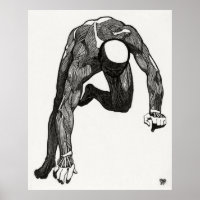 Anatomia do homem 6