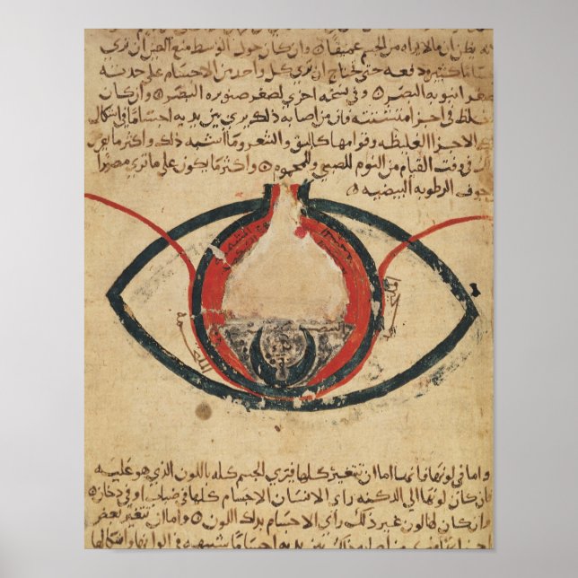 Poster Anatomia do Olho, a partir de um livro sobre doenç (Frente)