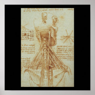 Pôster Anatomia do pescoço por Leonardo da Vinci C. 1515