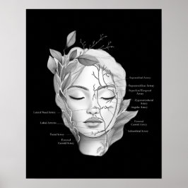 Poster Anatomia Facial Mostrando Vasos Sanguíneos