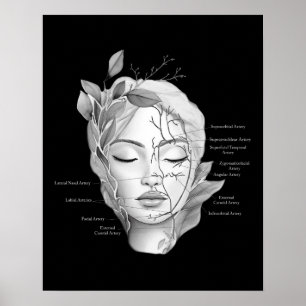 Poster Anatomia Facial Mostrando Vasos Sanguíneos