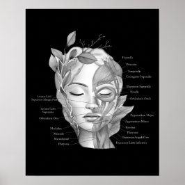 Poster Anatomia facial Músculos Med Spa Decor