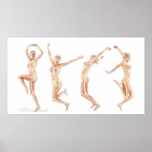 Pôster Anatomia feminina