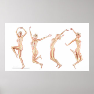 Pôster Anatomia feminina