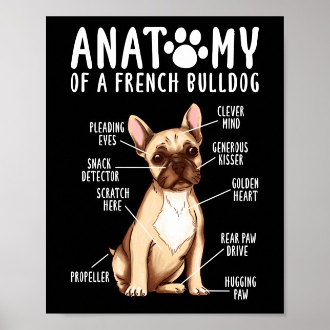 Poster Anatomia Francesa De Um Bulldog Francês Pai Mãe (Frente)