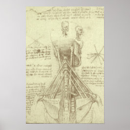 Pôster Anatomia Humana Coluna Vertebral por Leonardo da V