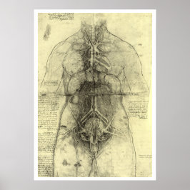 Pôster Anatomia humana de Leonardo da Vinci, mulher Torso