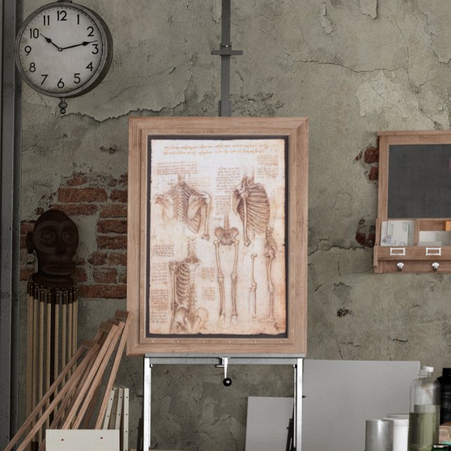 Pôster Anatomia humana Ossos do Esqueleto de Leonardo da  (Criador carregado)