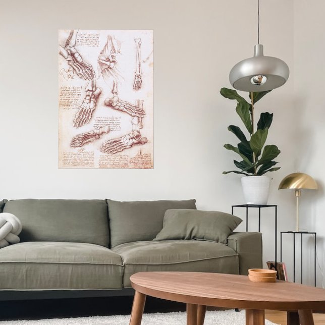 Pôster Anatomia humana Pés-Ossos por Leonardo da Vinci (Criador carregado)
