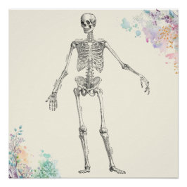 Pôster Anatomia médica da Vintage diagrama de flores de e