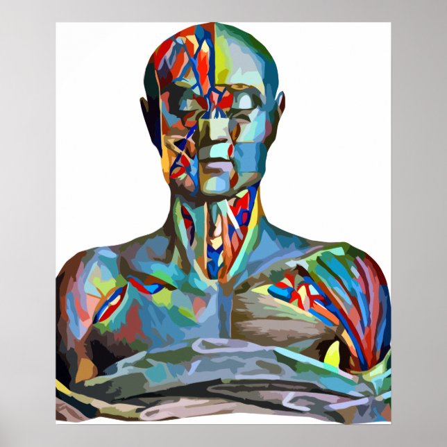 Poster Anatomia Muscular Homem Colorido Arte Abstrato (Frente)