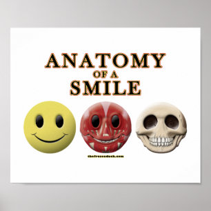 Poster Anatomy of a Smile