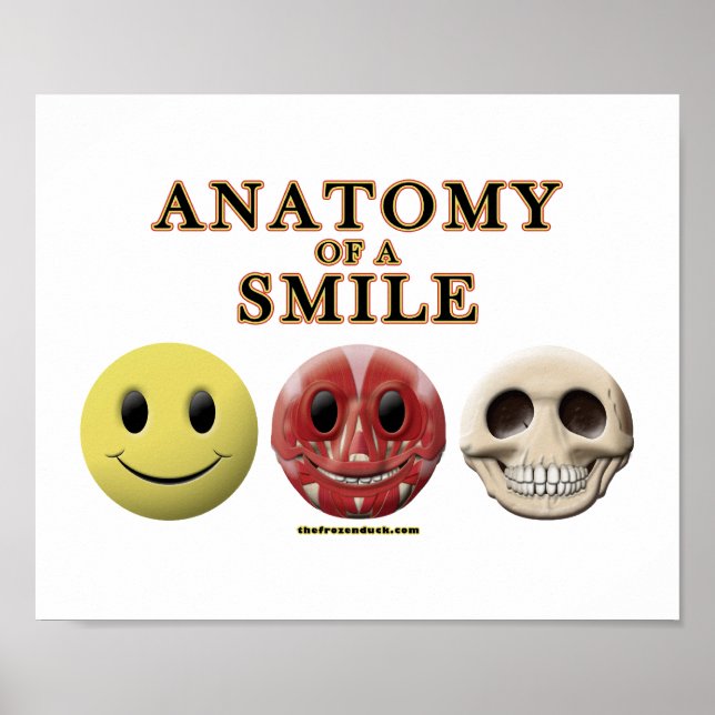 Poster Anatomy of a Smile (Frente)