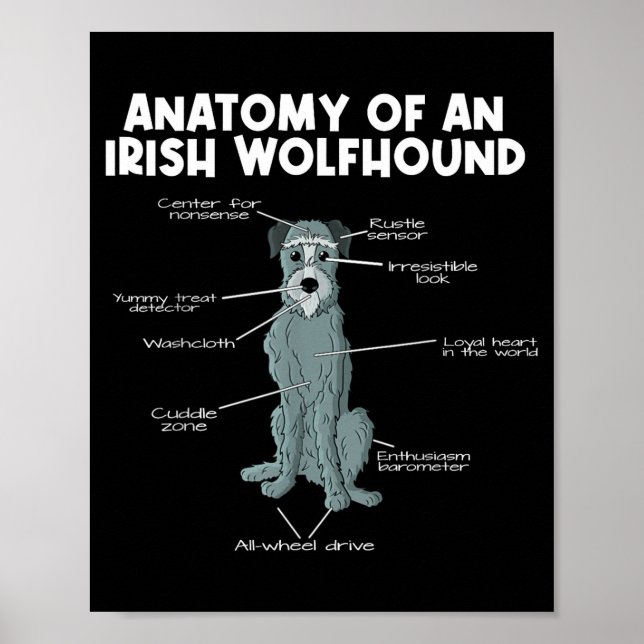 Poster Anatomy Of An Irish Wolfhound  (Frente)