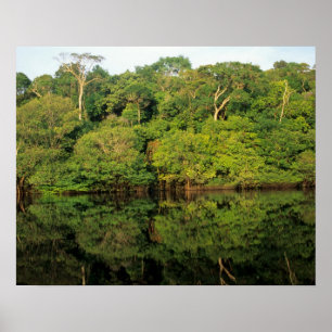 Pôster Anavilhanas, Amazonas, Brasil. Rio da floresta tro