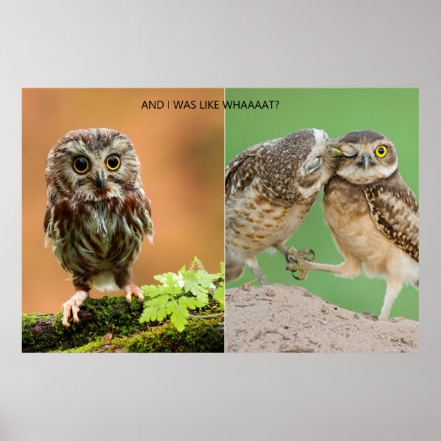 Poster And I Was Like Whaaaaat? (Frente)