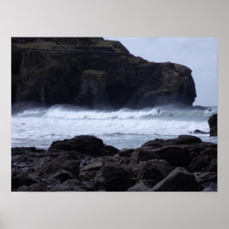 Pôster Andando pela onda