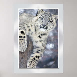 Poster Andando por aí....(m/fronteira)