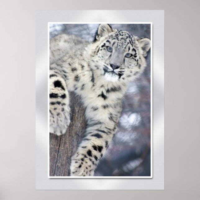 Poster Andando por aí....(m/fronteira) (Frente)