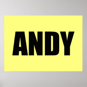 Pôster Andy