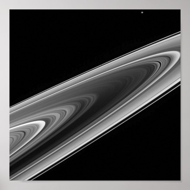 Pôster Anéis de Saturno (Frente)
